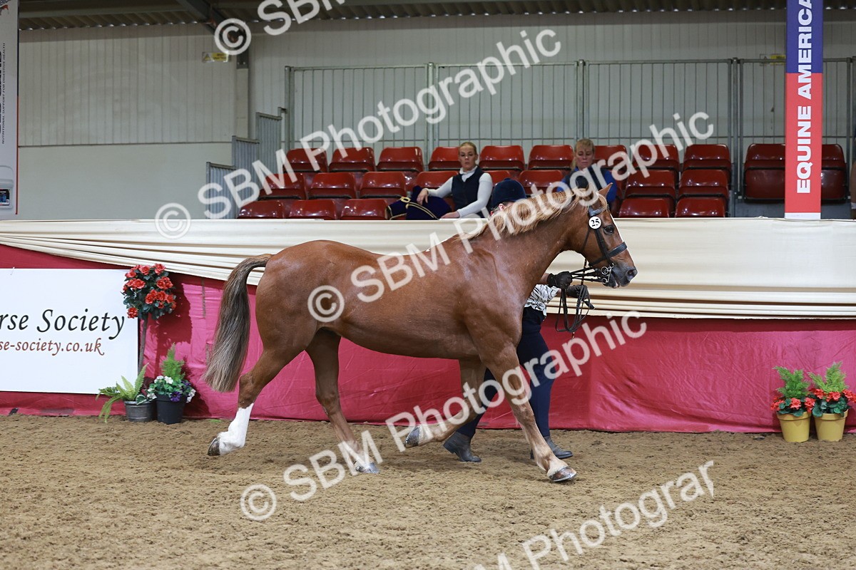 SBM_17433 - Class 951 - M&M IH Supreme Final