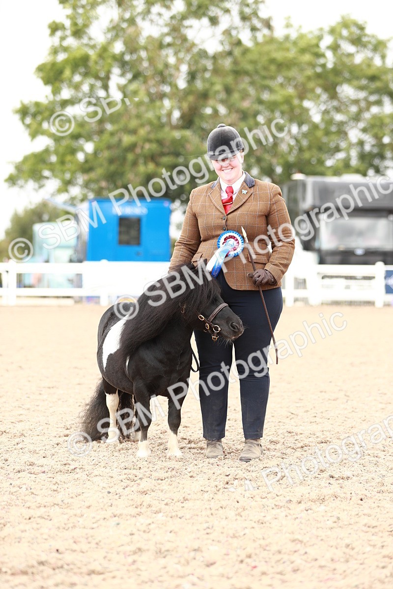 SBM_12554 - Class 207 IH M&M