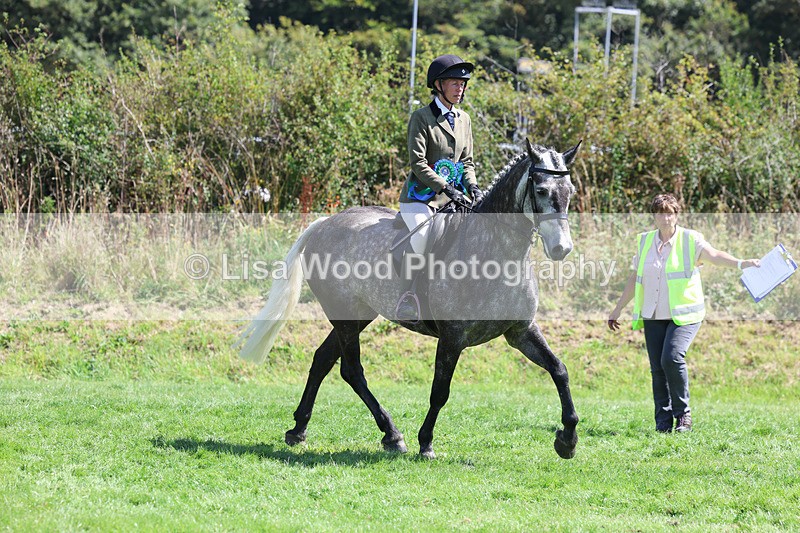 3E7A9189 - Working Hunter Championship