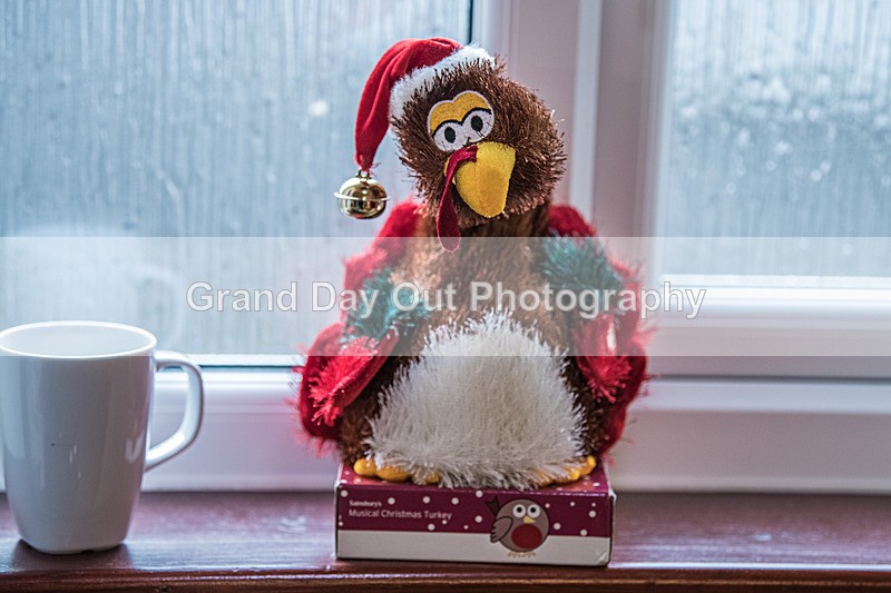 Litton-18 - Litton Christmas Cracker Fell Race (Limestone Series) Sunday 14th December 2025