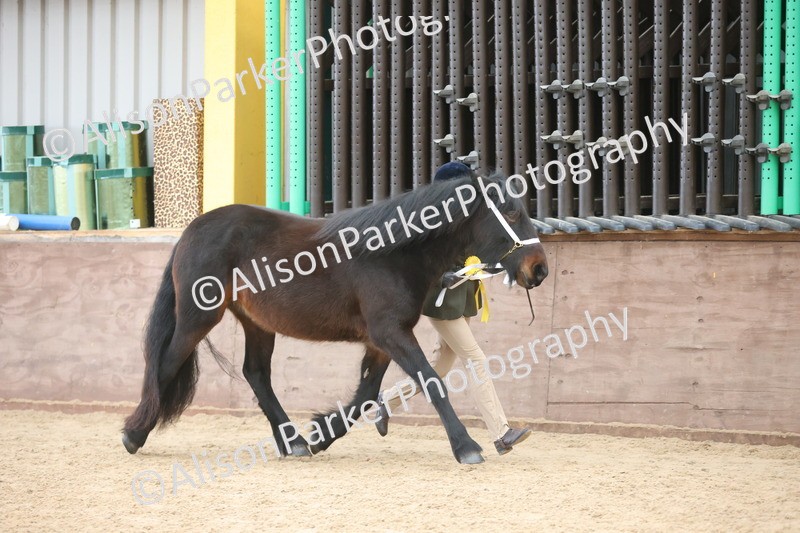 20251109-0994 - Class 26 - 2 and 4 Year Olds