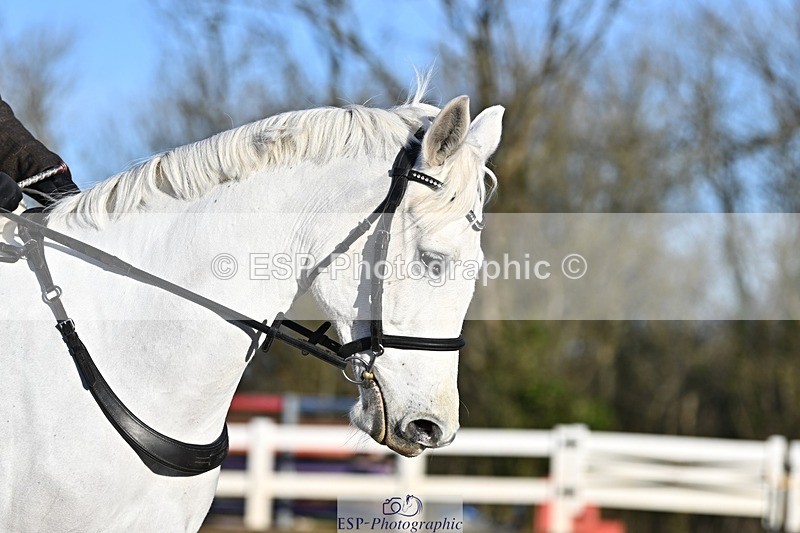 250125-093809-00075 - Dressage - CT Class 3 BE92