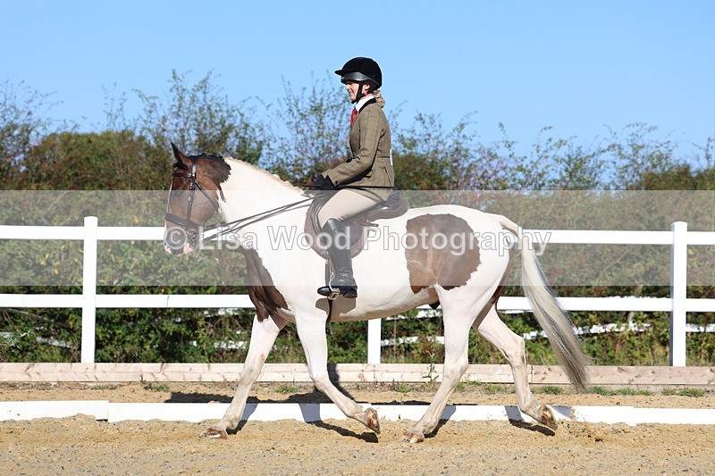 3E7A5263 - Class 8: Small Ridden Hunter