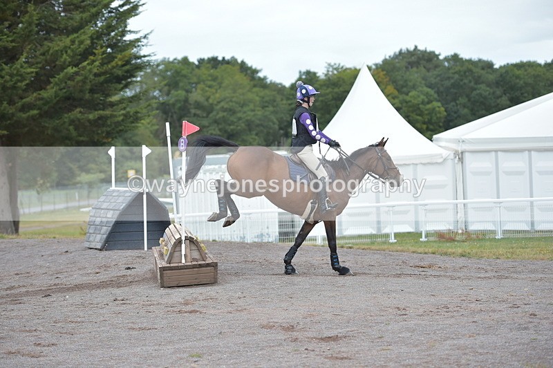 NGP_2670 - XC Time 11:37 to 11:57