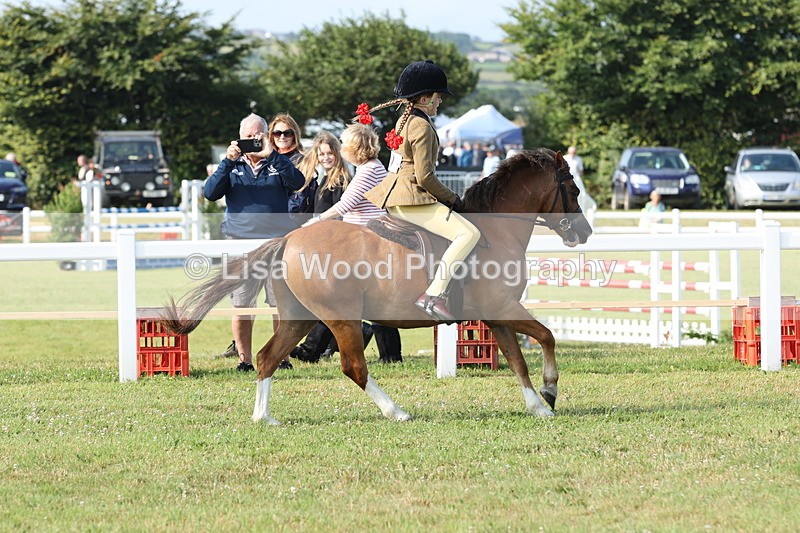 JPP_0552 - Class 15: Cornish Combination First Ridden