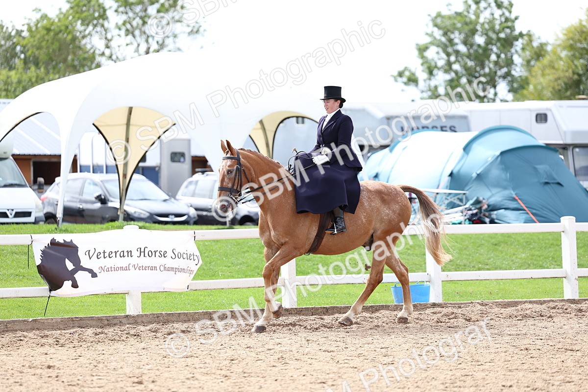 SBM_03321 - Class 23 - SSA Classical (any age)