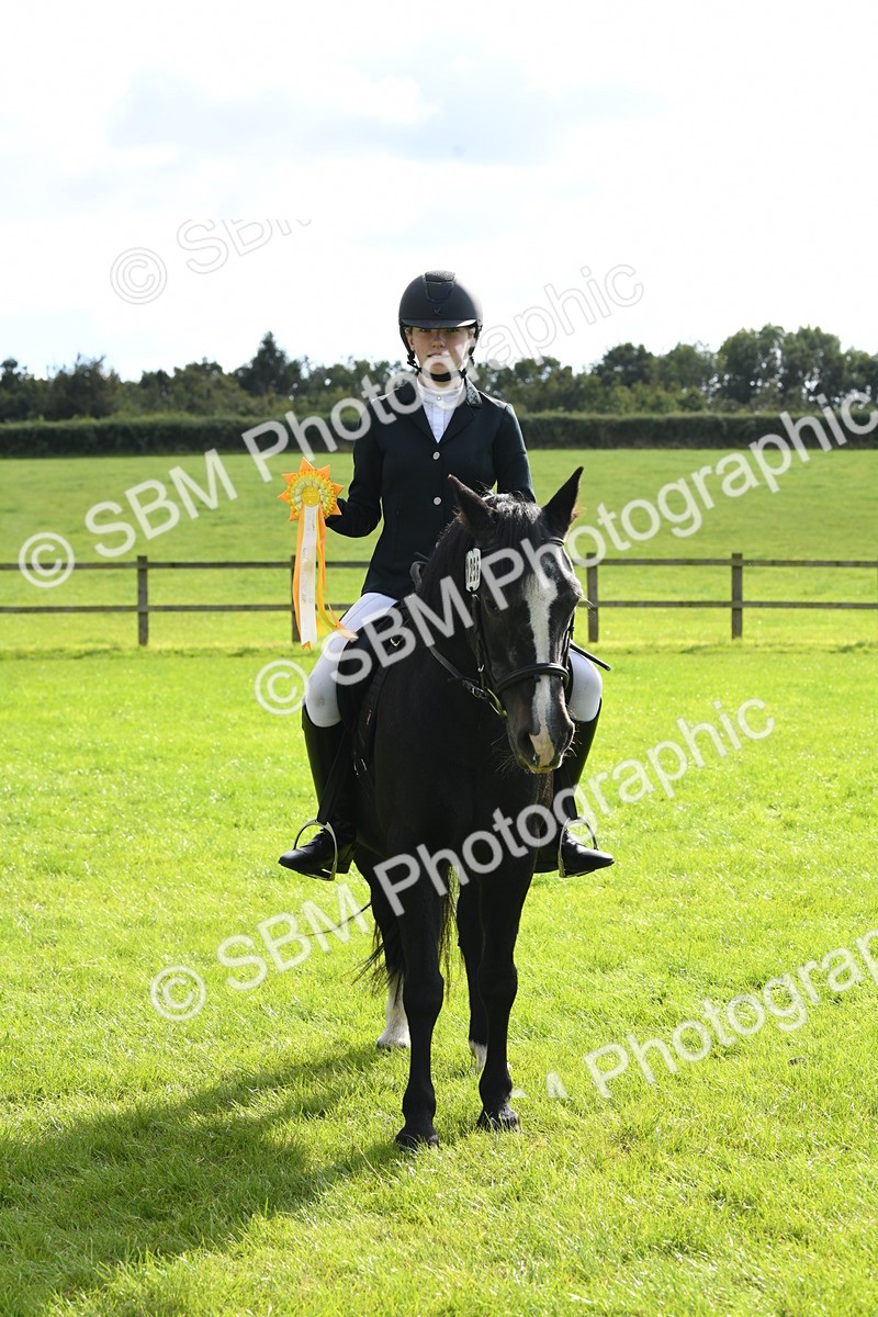 SBM_47251 - S12 - Family Horse & Pony