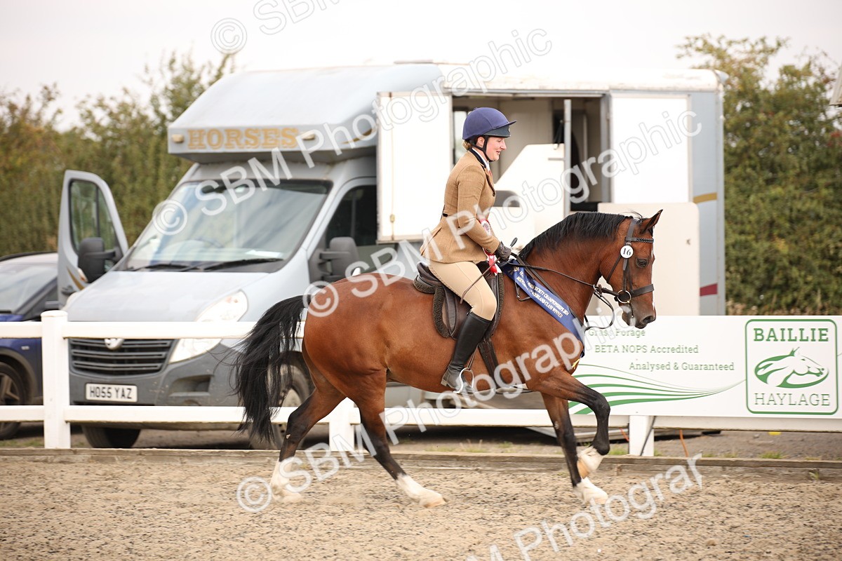 SBM_12288 - Class 405a - M&M Working Veteran 50cm (15-19)