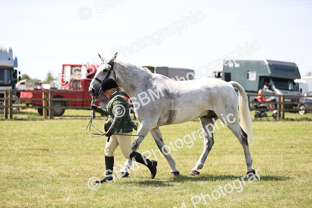 SBM_16176 - Class 79-80 - LIHS BSHA Rising Star Ridden Hunter