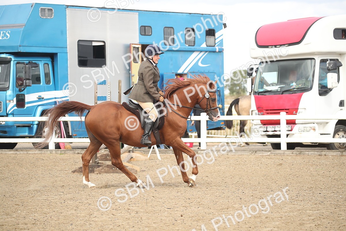 SBM_15284 - Class 506b - Working Veteran - 50cm (20+)