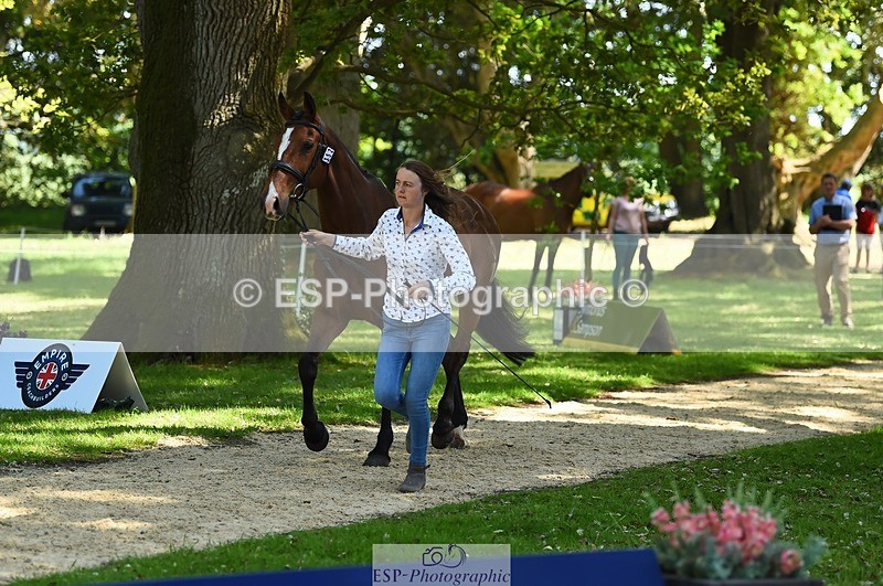 230524-153002-00307 - 352-TEQUILA_SUNRISE-Pippa_Taylor-WEDTrotUp+DR