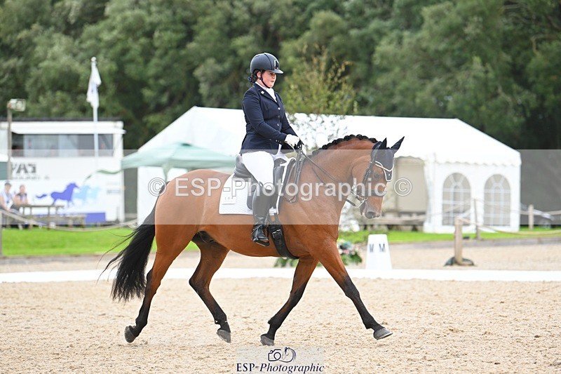 230813-132044-07539 - Cls 13 Medium Bronze 13.15 to End