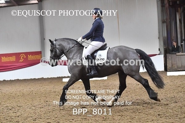 BPP_8011 - ELEM TEST 6