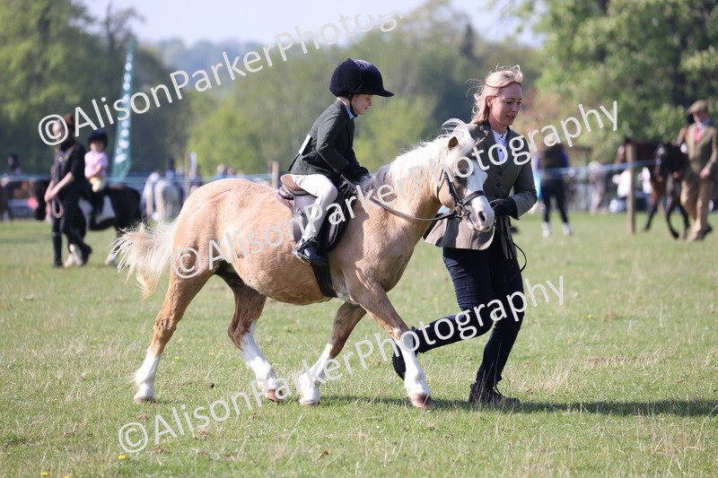 20250427-0156 - Class 30 - Tiny Tots Lead Rein