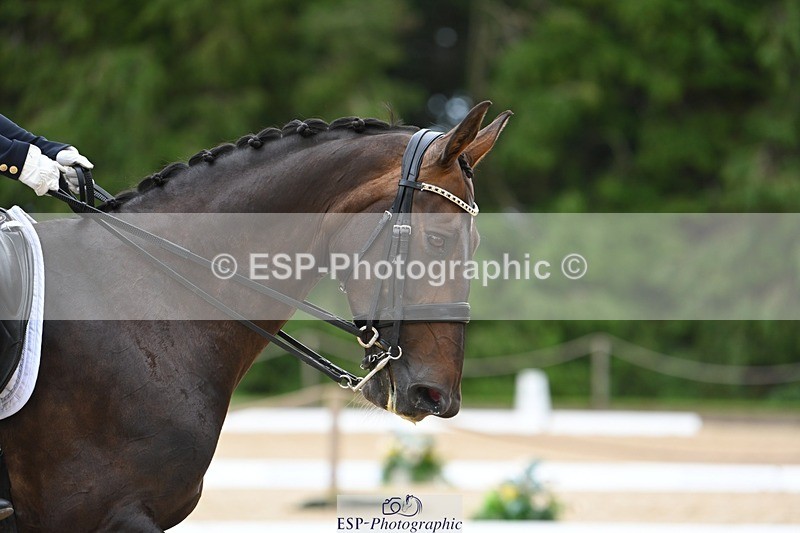 230813-154126-08234 - Cls 14 Medium Silver Start to 16.25 break