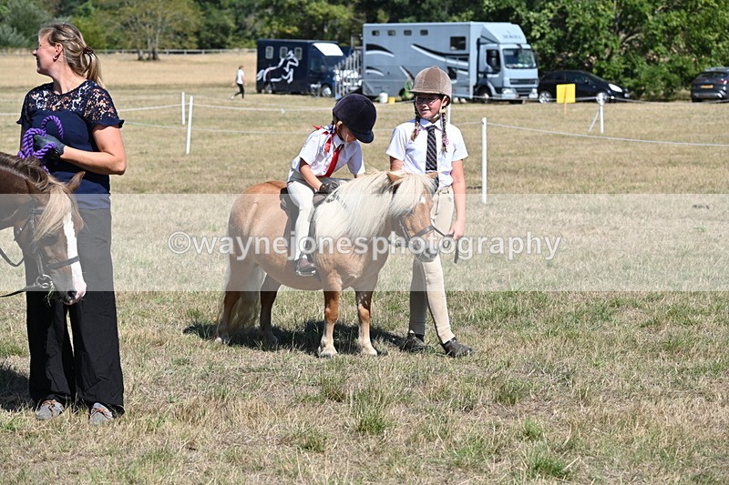 WJ6_9323 - Class 40 Cheekiest Pony/Horse