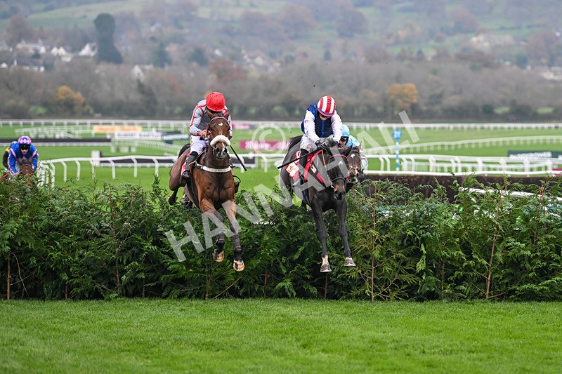 151124-Race 4-Sweet David-8203 - Race 4