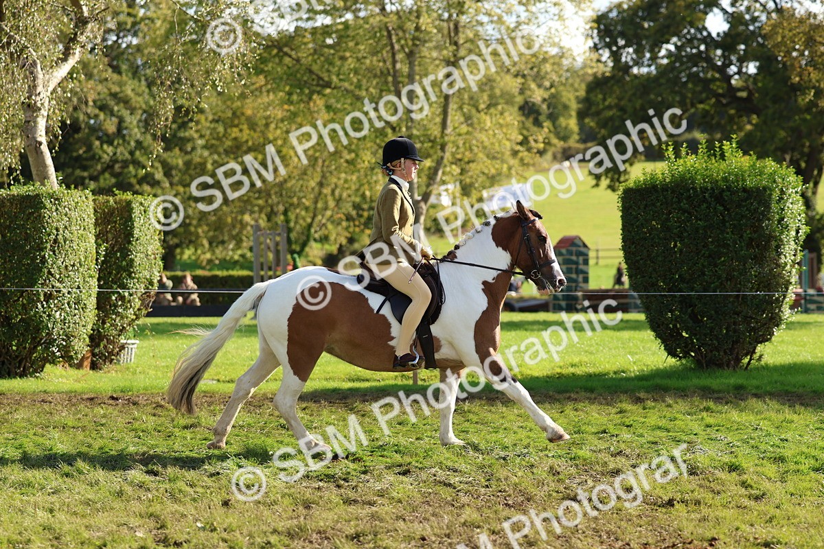 SBM_52395 - S13 - Pony Club Pony