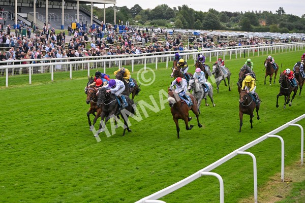 210824-Race 7-Yes Im Mali-5756 - Race 7 5.20pm Sky Bet Nursery Handicap
