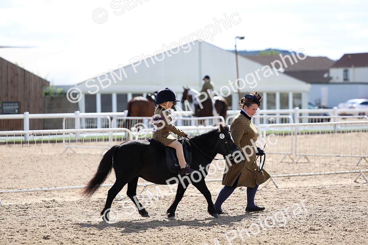 SBM_13050 - Class 309 - Lead Rein Pony