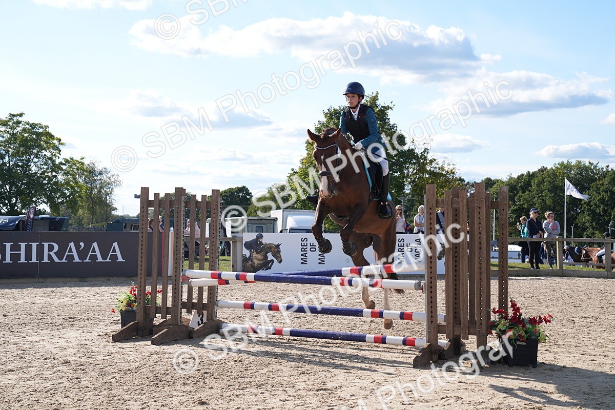 SBM_26101 - J61 - Clear Round 75cm & 85cm