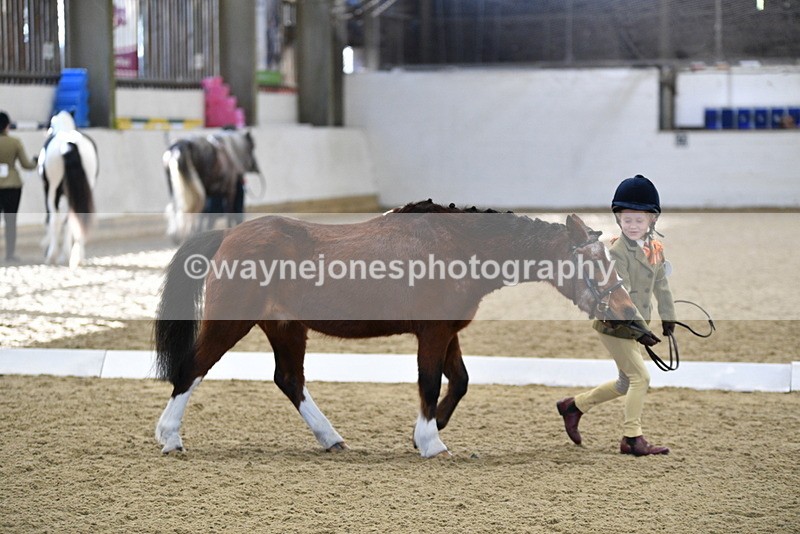 WJ5_3770 - Class 5 In Hand Veterans