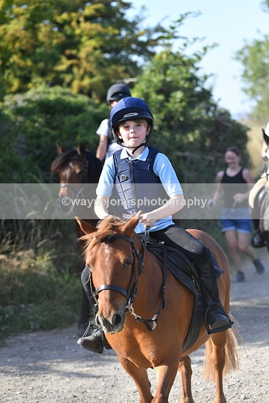 WJ5_5044 - Walk out with the hounds