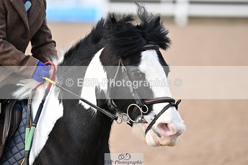 250308-095900-01068 - Cls 19-21 CR, Club and Schools 60cm