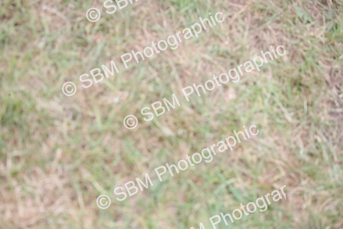 SBM_07772 - Grand Parade