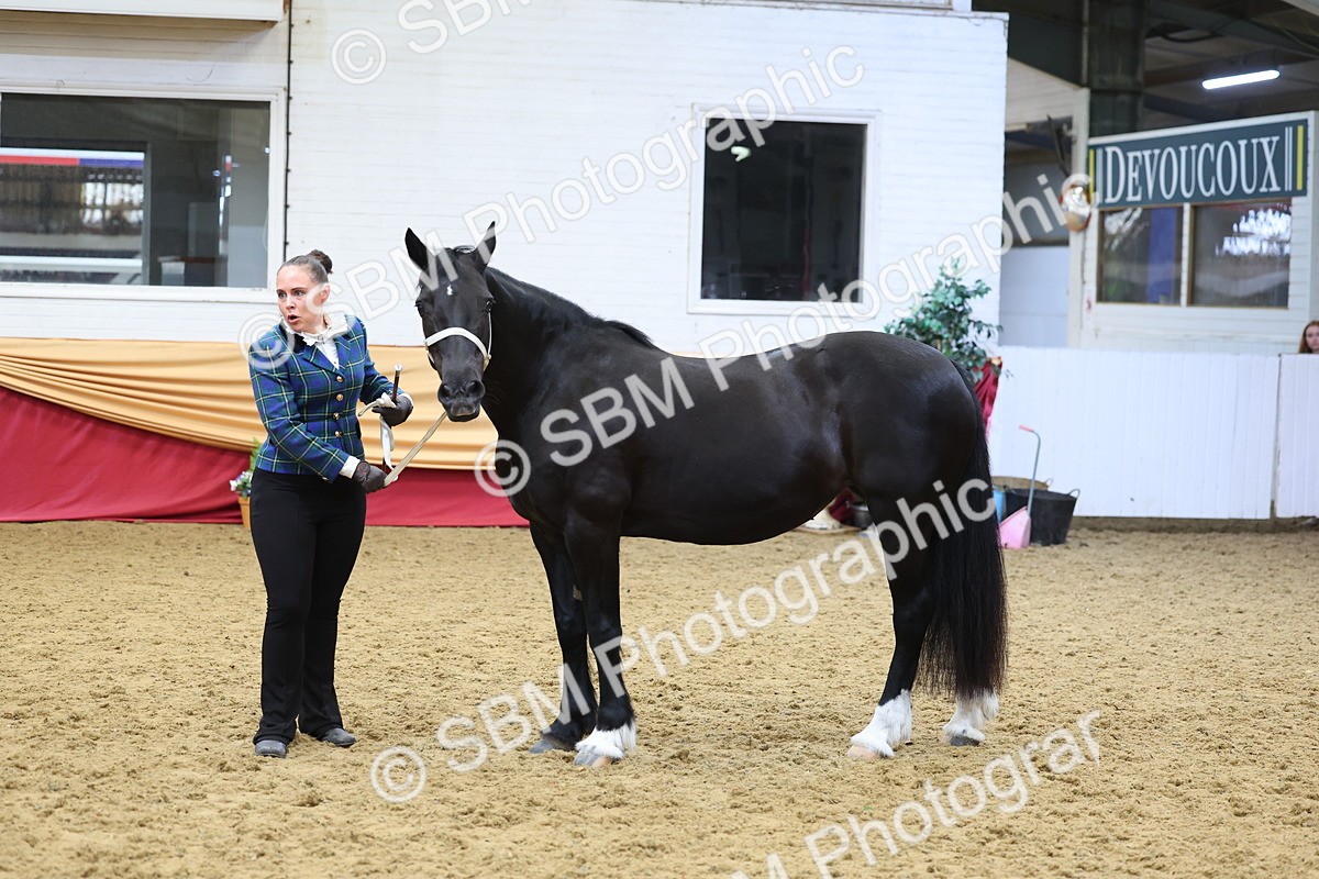 SBM_22842 - Class 903 - Supreme Final - IH Pre Vet