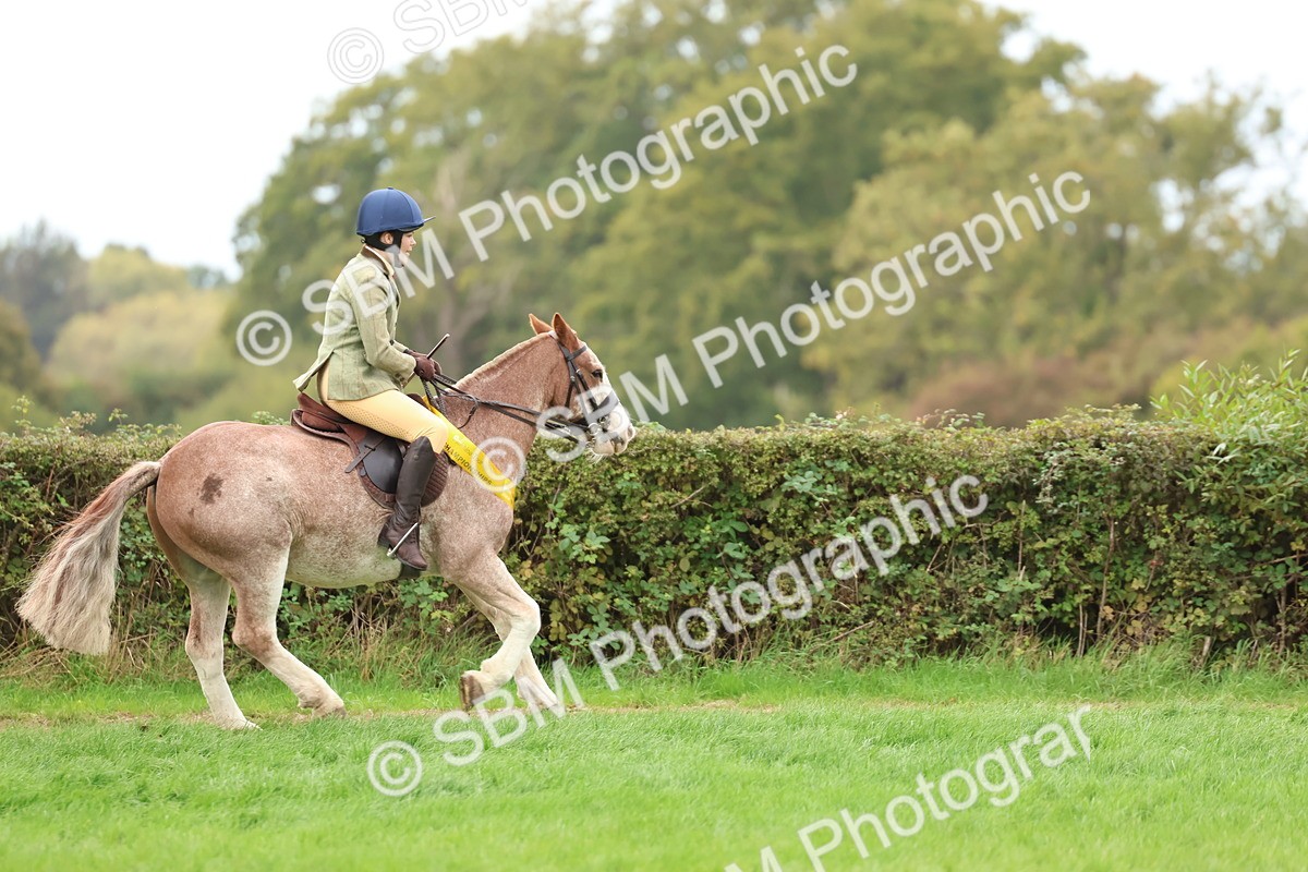 SBM_67566 - S60 - Mini Show Cob Ridden