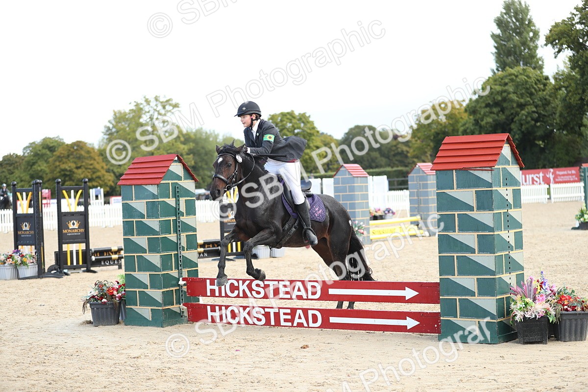 SBM_37282 - J20 - Junior Horse 50cm Championship
