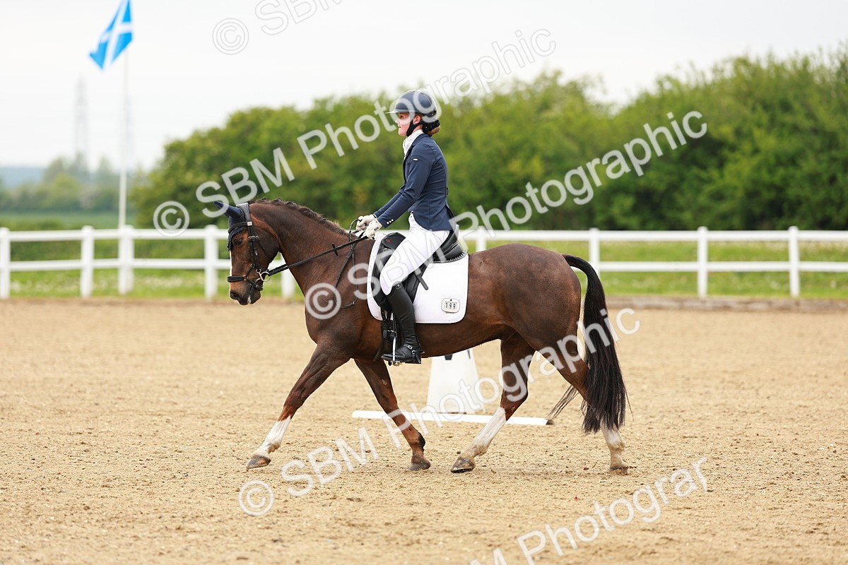 SBM_004980 - Class 15 - Novice 5