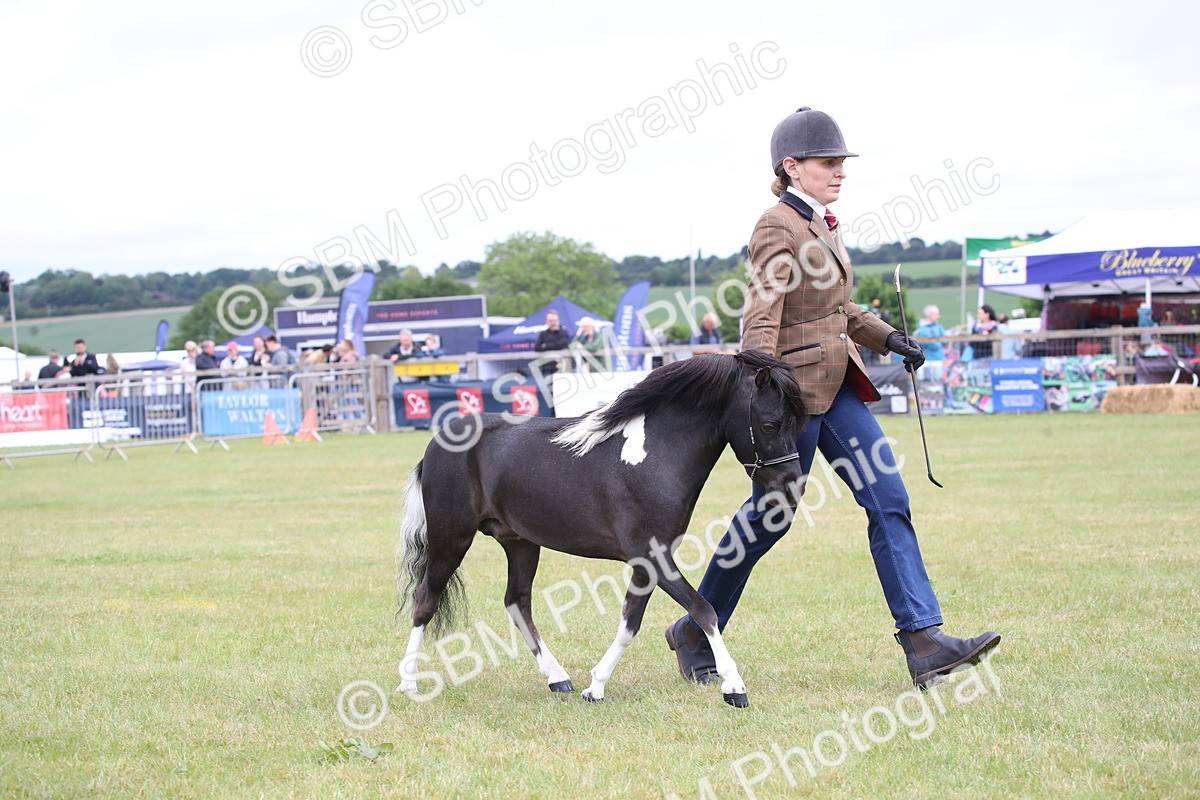SBM_03773 - Class 23-25 - British Miniature Horse of the Year