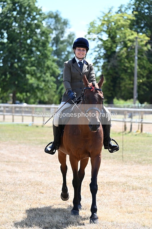WJ7_2833 - Class 7 Riding Club Show Horse