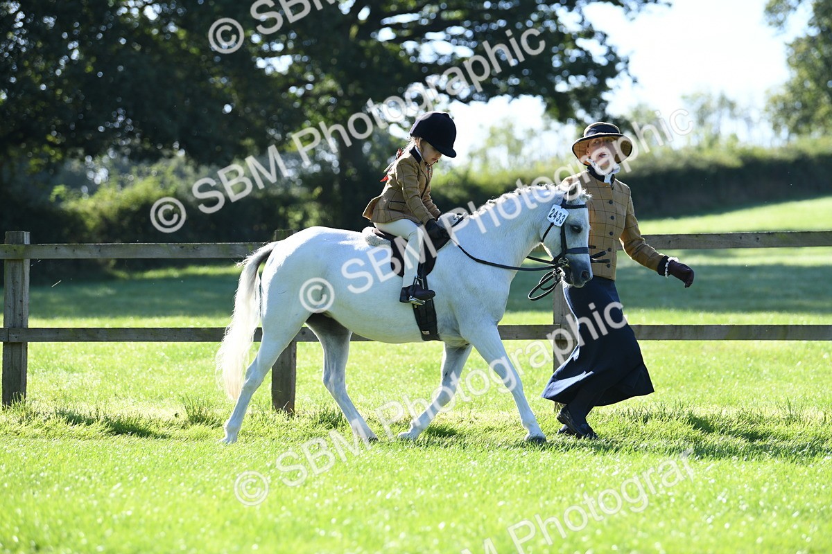 SBM_36794 - S18 - Novice & Newcomers Lead Rein Pony