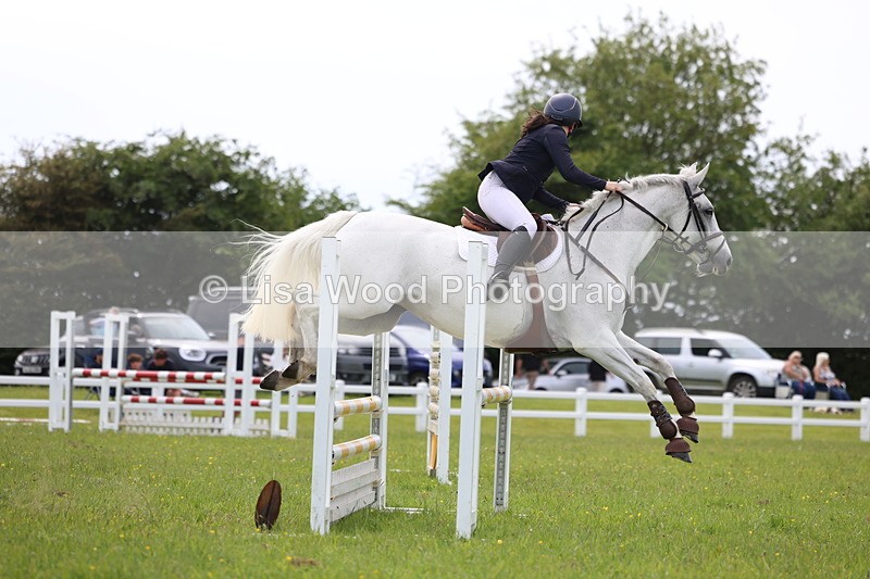 3E7A1823 - Class 13: Senior British Novice/90cm open