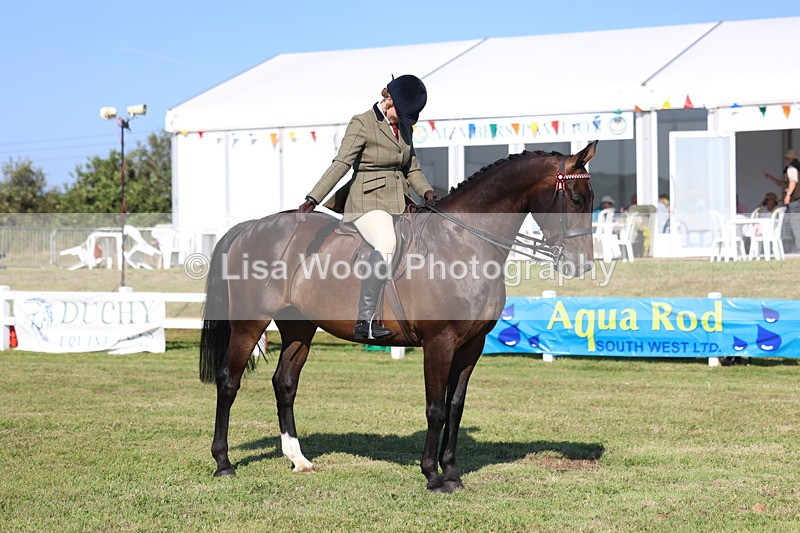 3E7A5590 - Class 2: Rising Star Large Hack/Riding Horse