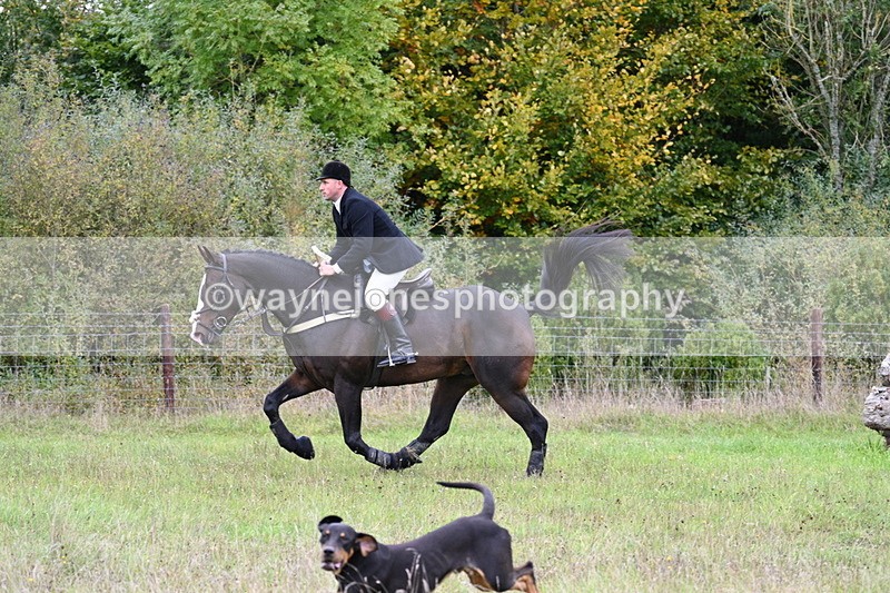 WJ7_3601 - Camera 1 Line 1