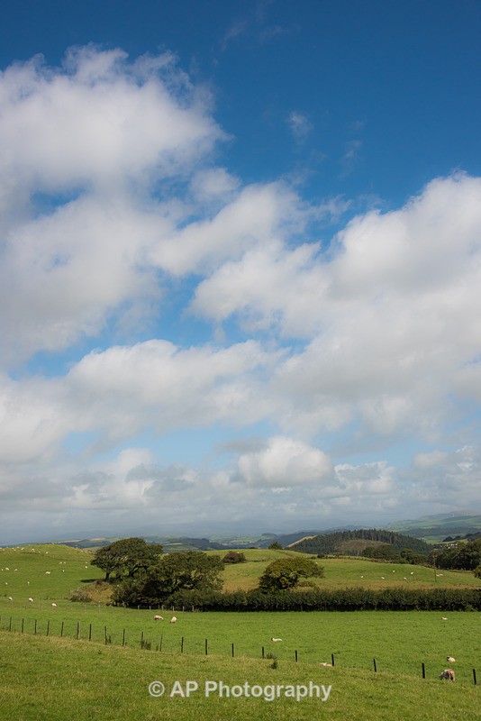 ACP_2445-2 - Rural Views