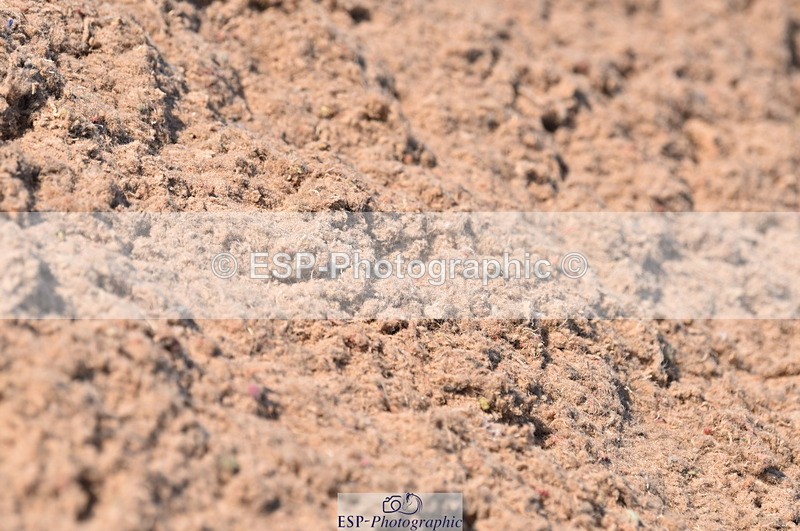 230606A-172833-00206 - 80cm