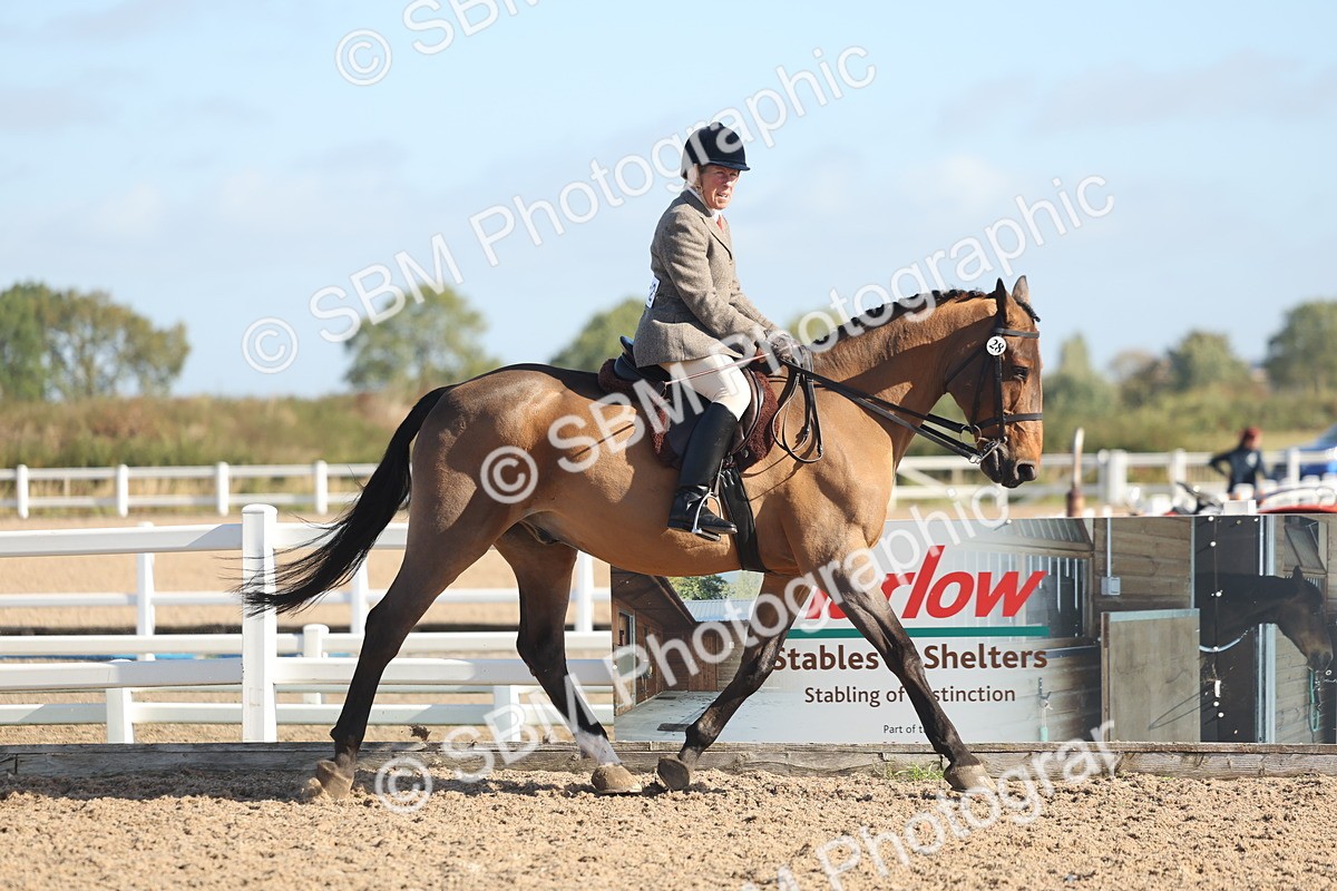 SBM_22288 - Class 803 - Ridden Combination 65+