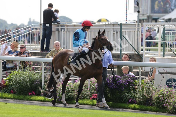 yr05092021rP-1 - Pony Races 138 and 148 cm