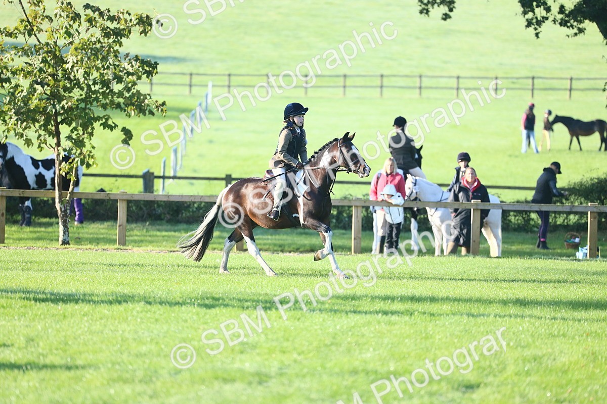 SBM_32236 - S28 - Nursery Stakes Working Hunter Pony