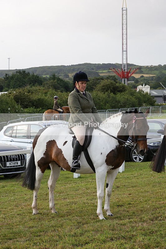 1X9A2888 - Class 25: Ridden Plaited Coloured Horse