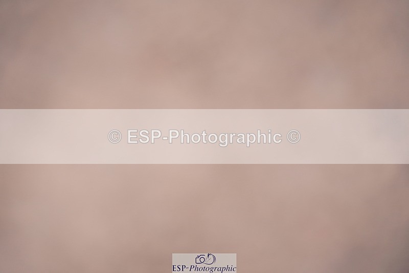 240802A-145038-05327 - Cls 18 6 Yr Old Champs