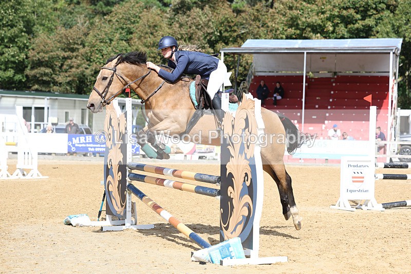 3E7A9281 - Class 9: Senior British Novice/90cm open