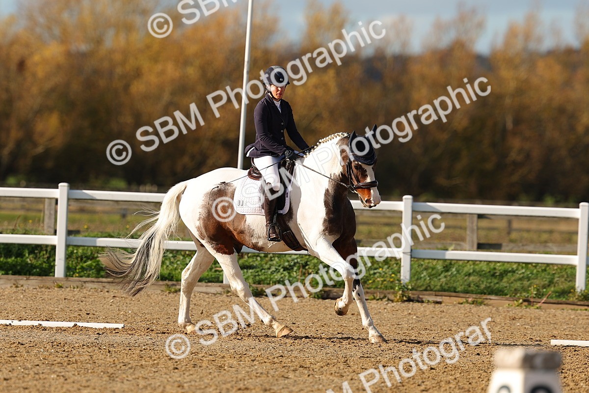 SBM_001140 - Novice 5