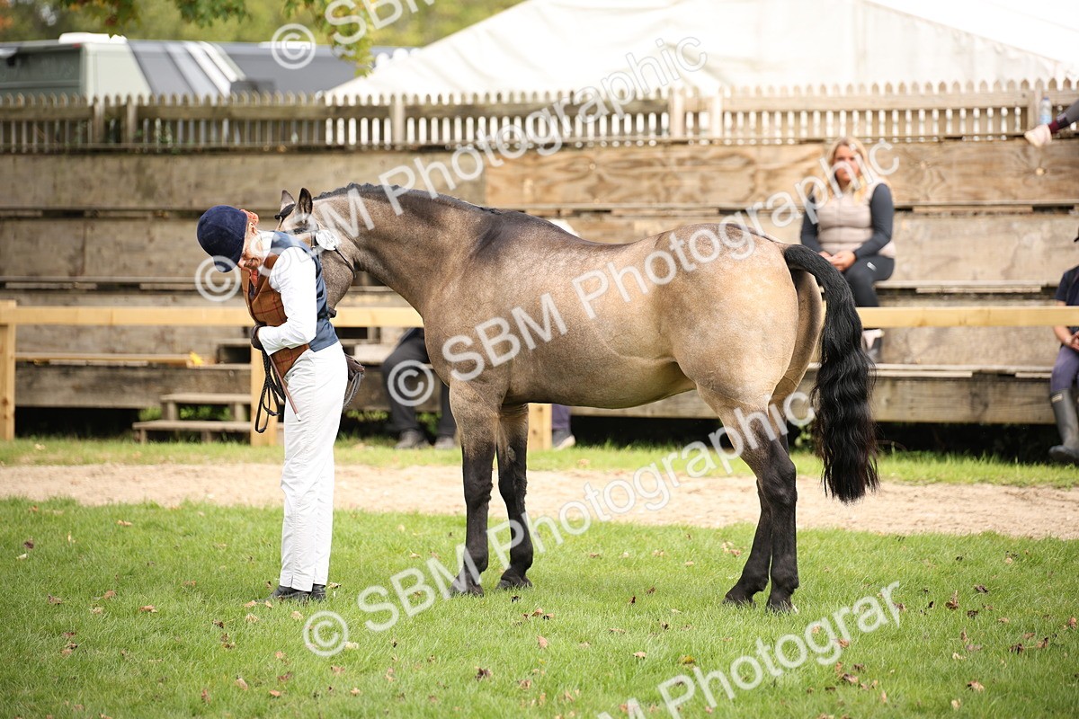 SBM_46339 - S25 - Mature Veteran In Hand