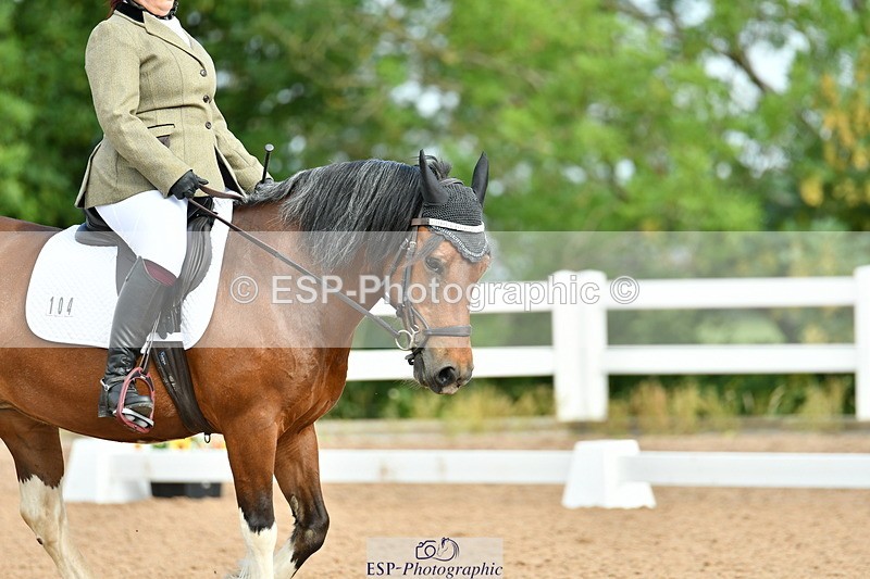 230701A-090339-04231 - Cls 3 Music Prelim